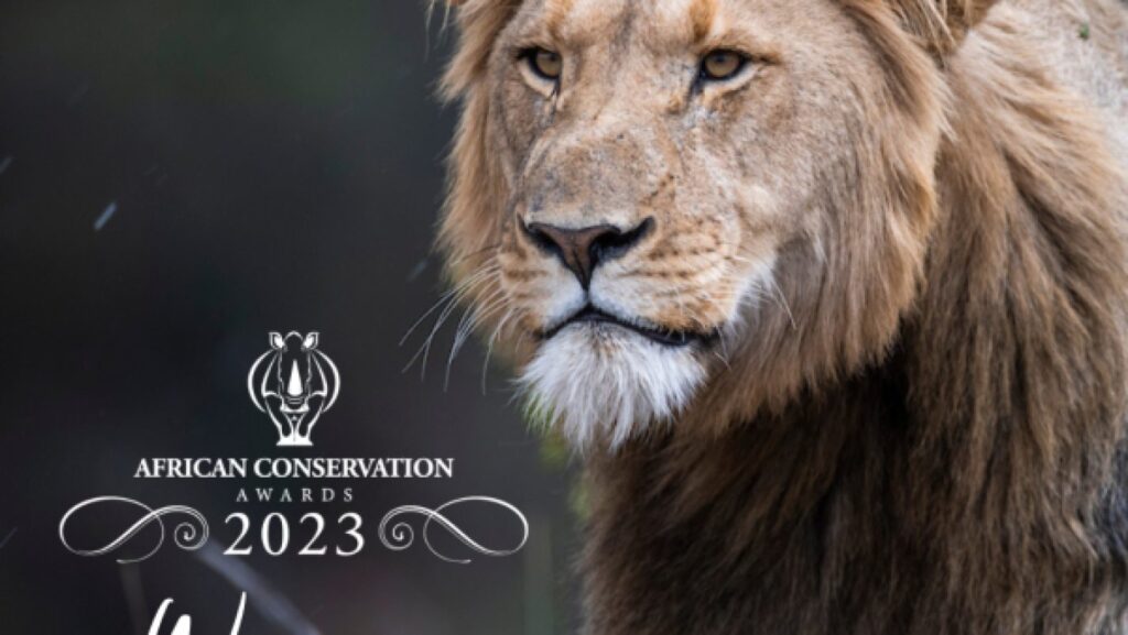 African Conservation Awards