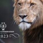 African Conservation Awards