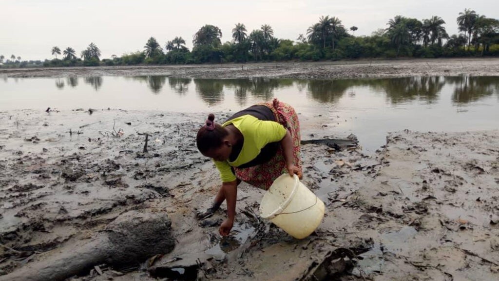 Ogoni Cleanup