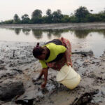 Ogoni Cleanup