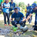 Tree Planting