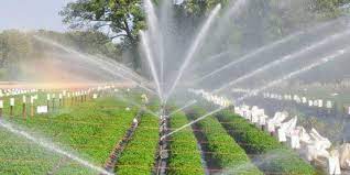 Irrigation