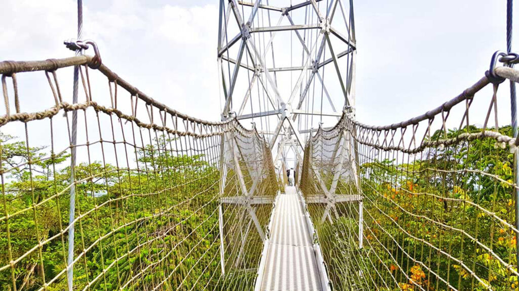 Lekki Conservation Centre