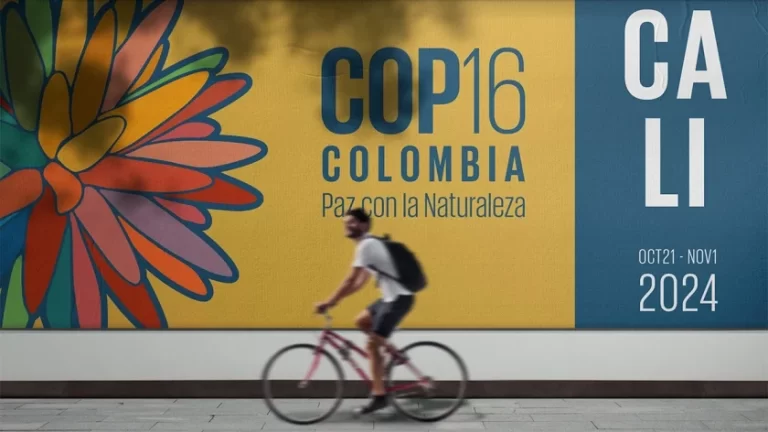 Cop16a