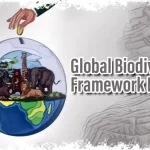 Global Biodiversity Framework Fund