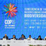 Cop 16 Aa