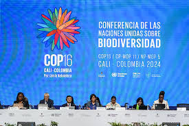 Cop 16 Aa