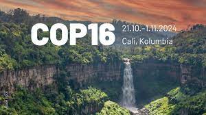 Cop 16